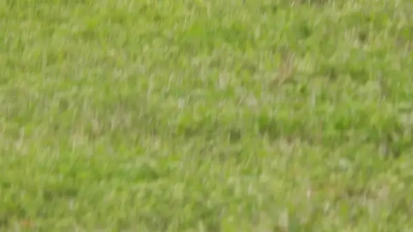 Address Withheld By Seller, Hensley, AR 72206