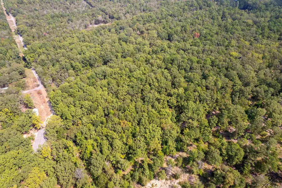 15009 Fast Lane, Alexander, AR 72002 - #3