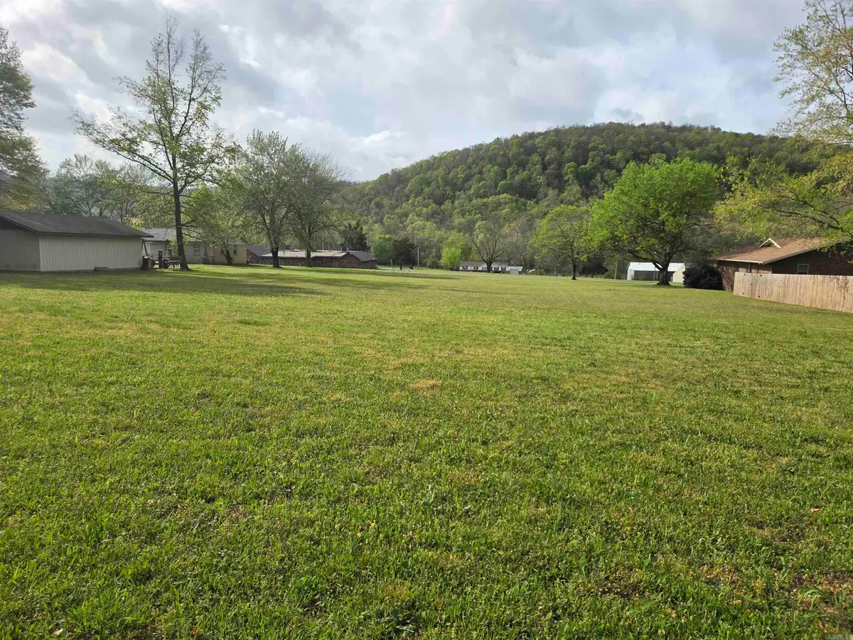 000 Maple Drive, Mountain View, AR 72560 - #1