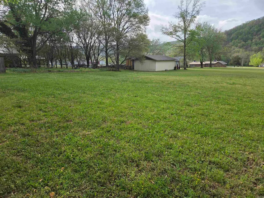 000 Maple Drive, Mountain View, AR 72560 - #3