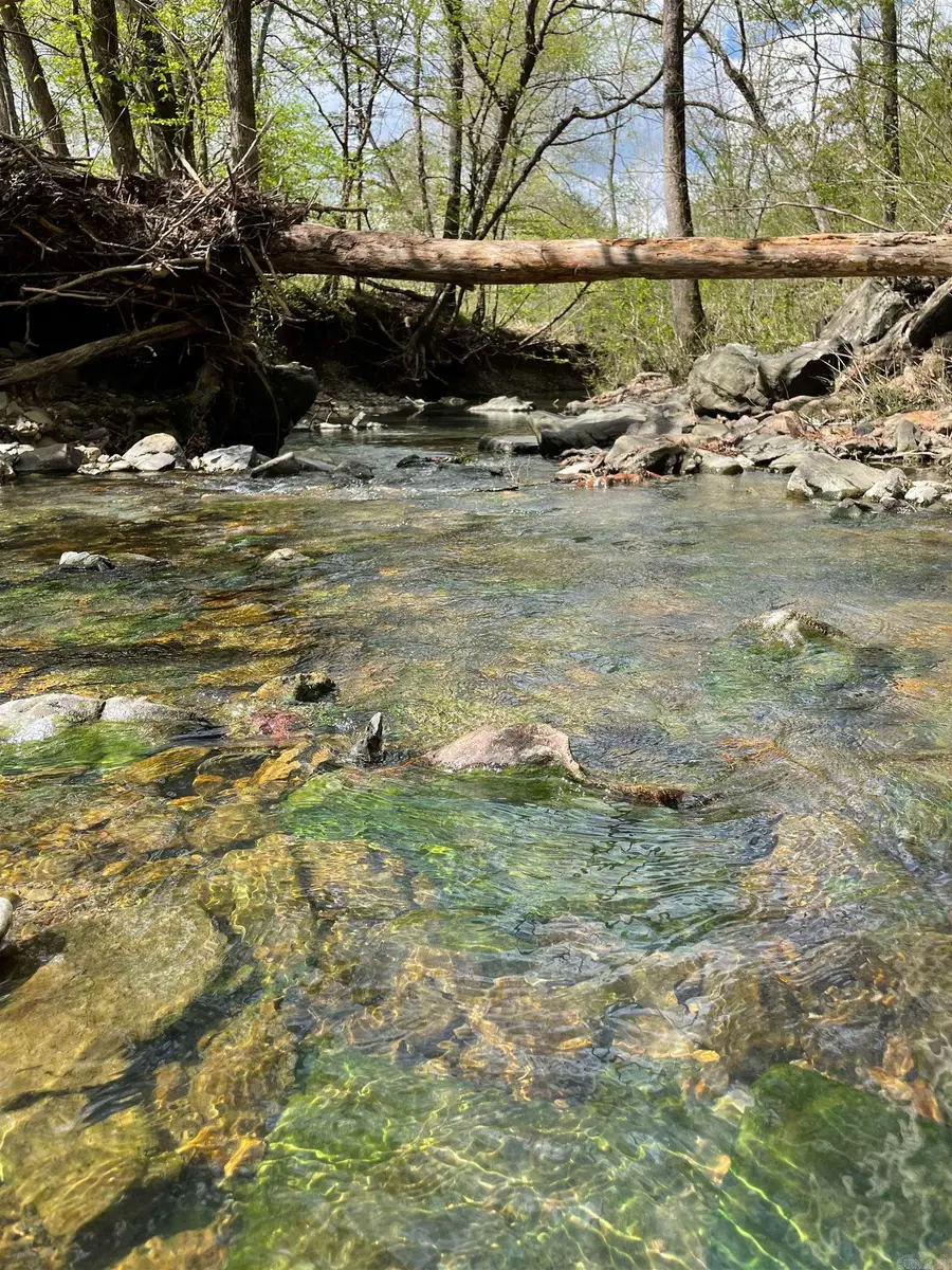 155 Polk Road 170, Mena, AR 71953 - #3