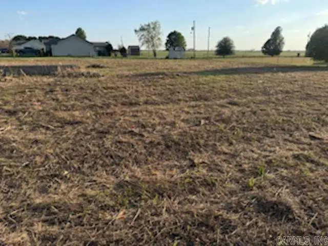 5679 N County Road 917, Blytheville, AR 72315 - #2