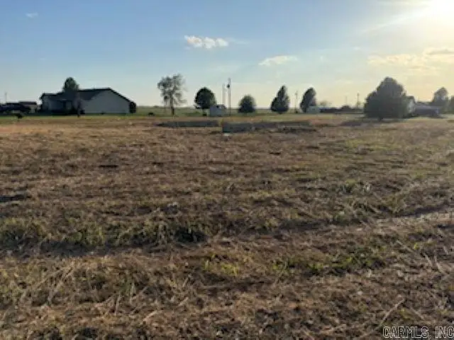 5679 N County Road 917, Blytheville, AR 72315 - #3