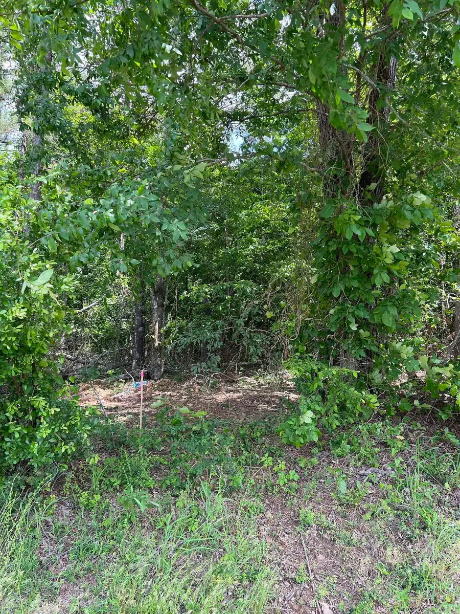 xx Tract 11 Castle, Glenwood, AR 71943 - #3