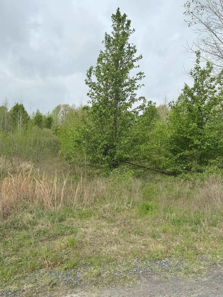 1248 Pigeon Road, Ward, AR 72176 - #2