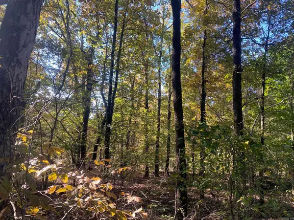 000 Jensen Road, Mountain View, AR 72560