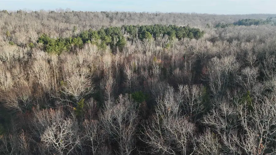 Address Withheld By Seller, Marshall, AR 72650 - #2