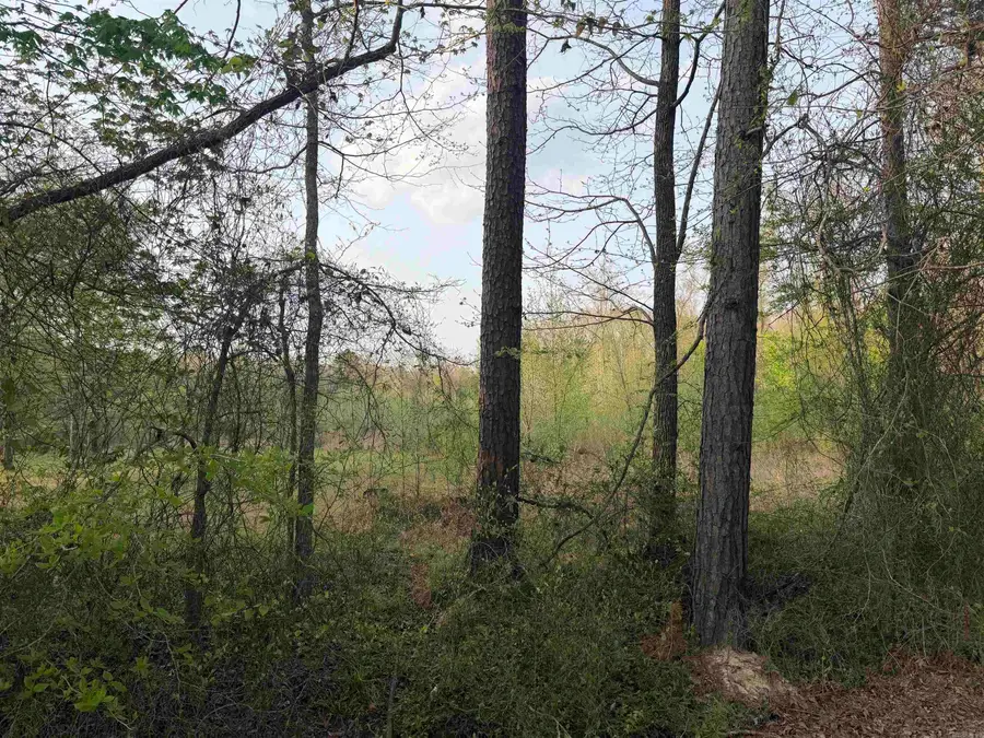 1507 Dixon, Pine Bluff, AR 71602 - #3