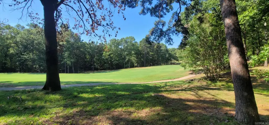 Lot 11 Birchbrook - Eden Isle, Heber Springs, AR 72543 - #3