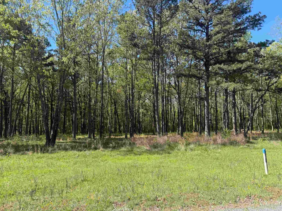 Lot 11 Shiloh Landing Pointe, Greers Ferry, AR 72067 - #3