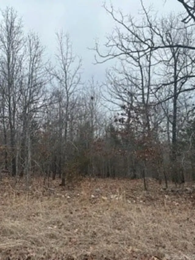 Lot 14 Buckhead Lane Lane, Mountain Home, AR 72653 - #3