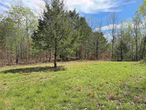 000 Sunnyland Rd., Mountain View, AR 72560