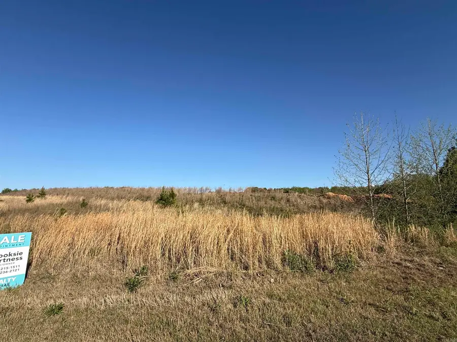 12.98 Ac Chateau Blvd, Paragould, AR 72450 - #2