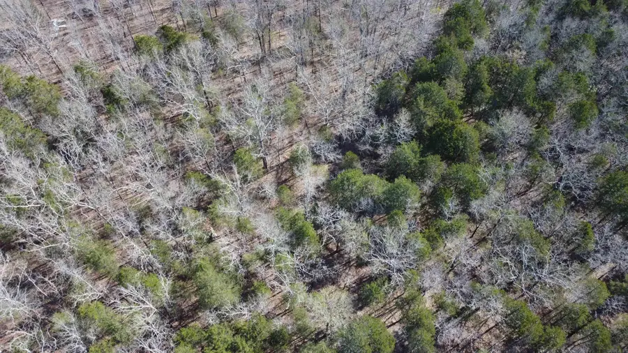 2008 Jackson 5, Bradford, AR 72020 - #3