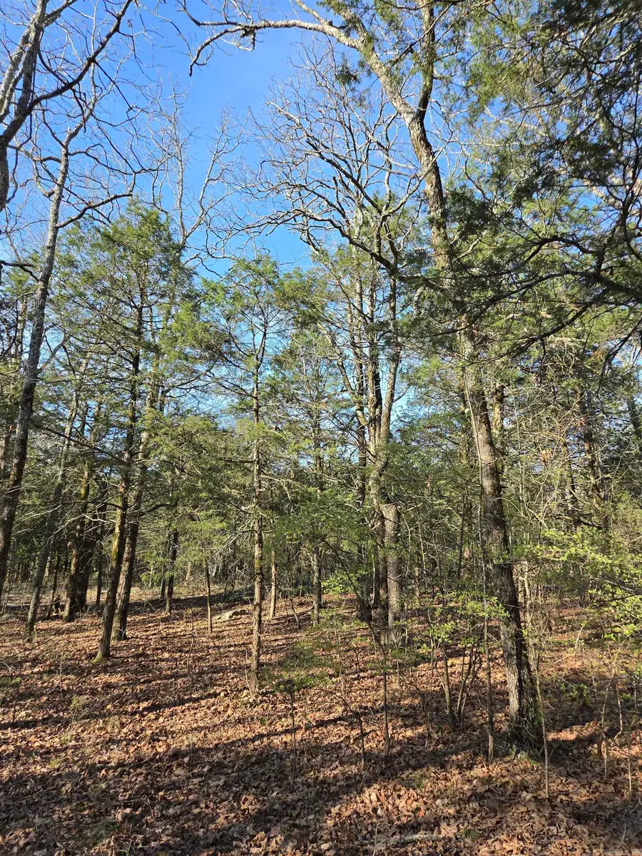 1812 Jackson 5, Bradford, AR 72020 - #3