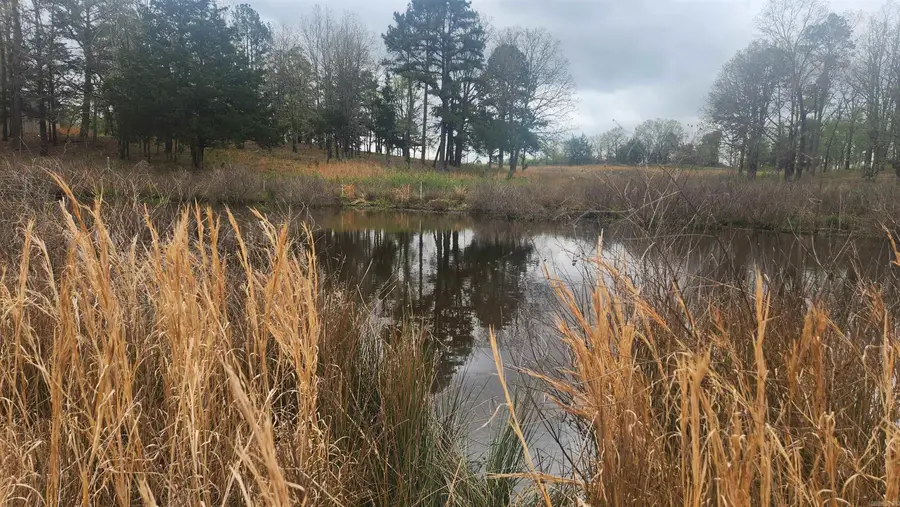 2247 Union Hill Rd, Story, AR 71970 - #3