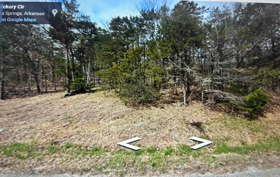 Lot 38 Hickory Lane, Holiday Island, AR 72631 - #2