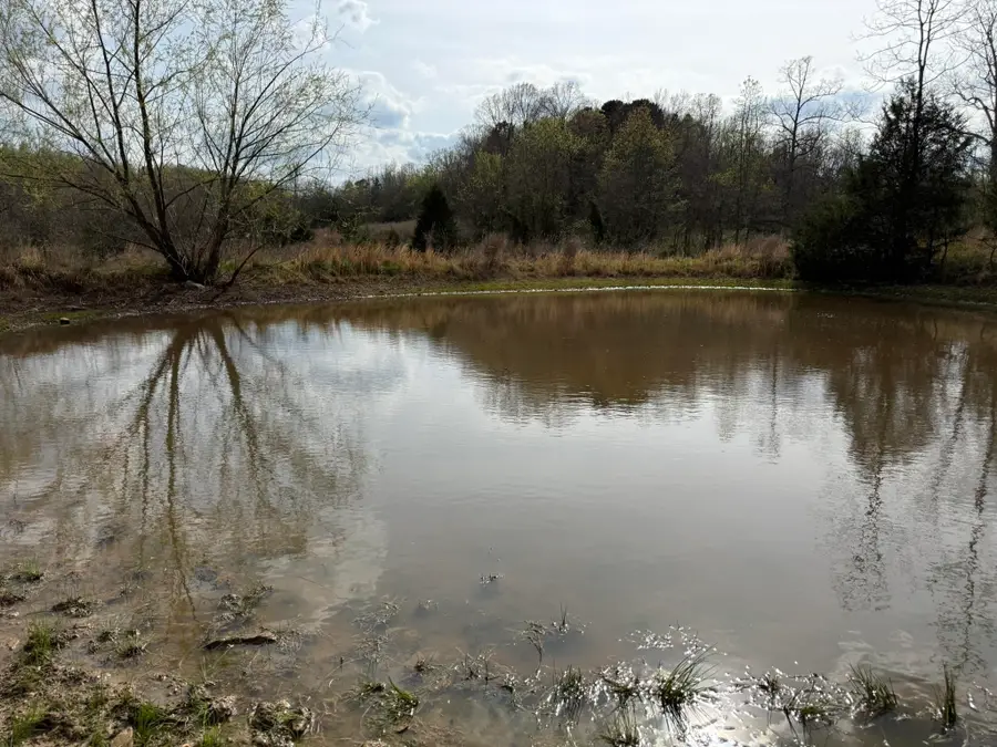 77 Coon Dog Lane, Melbourne, AR 72556 - #2