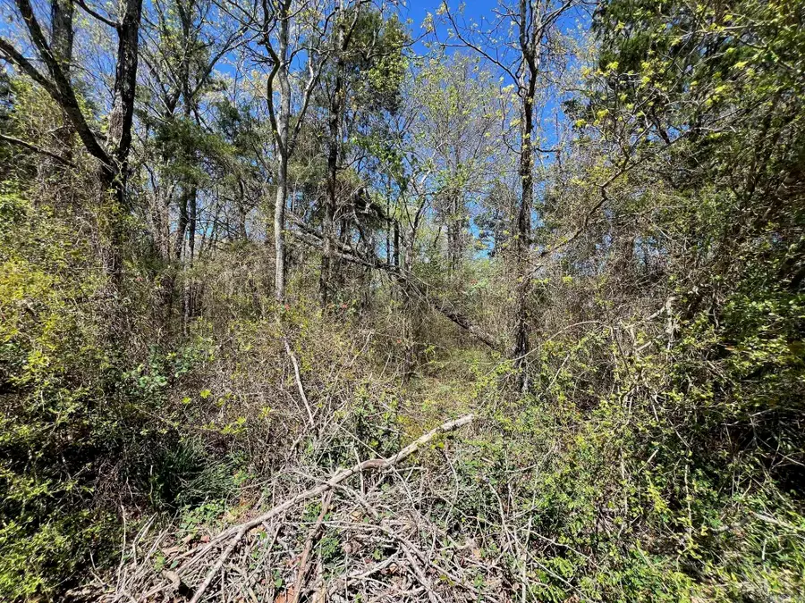 00 County Line Road, Rose Bud, AR 72137 - #3