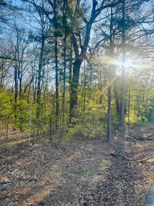 Hoover Lane, Monticello, AR 71655