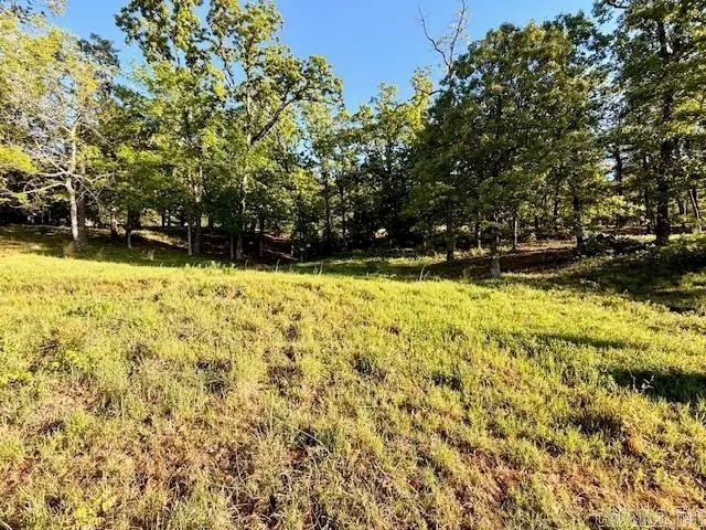 112 Turtle Creek Cove, Maumelle, AR 72113 - #2