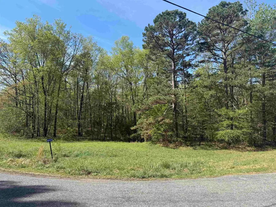 00 Plantation Dr, Heber Springs, AR 72543 - #3