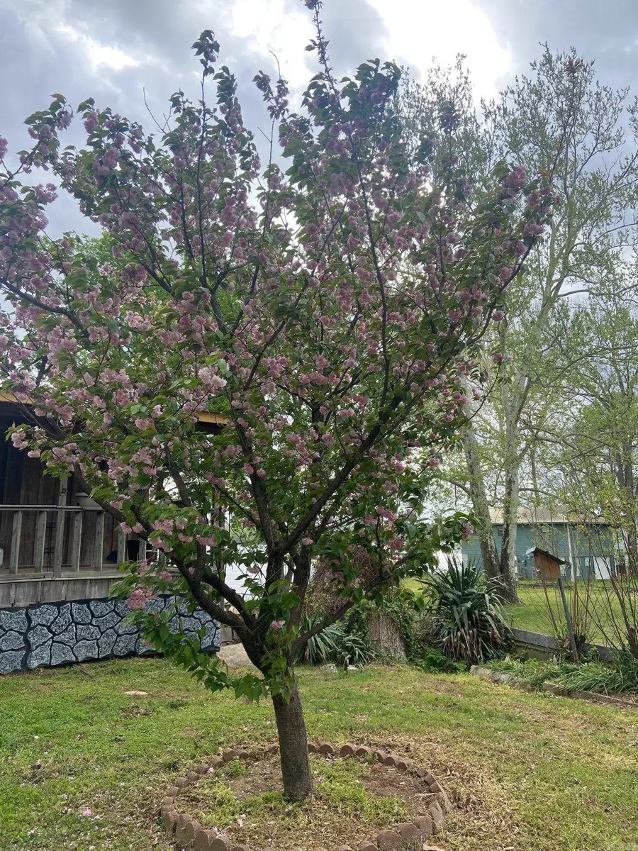 3115 Riverside Drive, White Hall, AR 71602 - #3