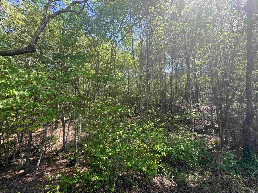 145 Crepe Myrtle Trail, Hot Springs, AR 71909 - #2