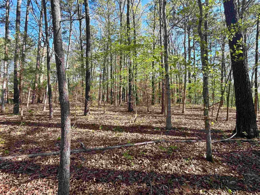 000 Wildwood Drive, Mountain View, AR 72560 - #2