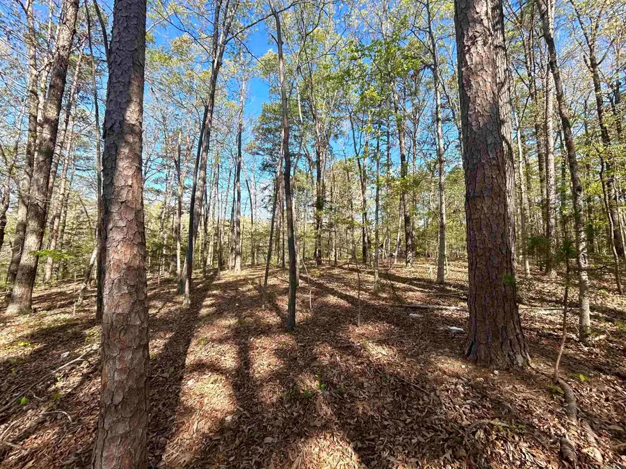 000 Wildwood Drive, Mountain View, AR 72560 - #3