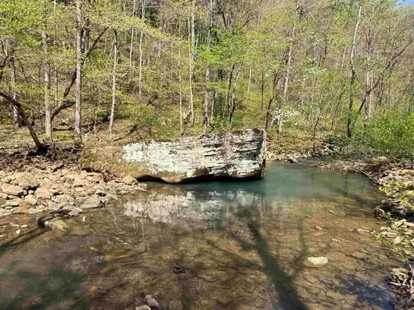 000 Jenkins Road, Clinton, AR 72031