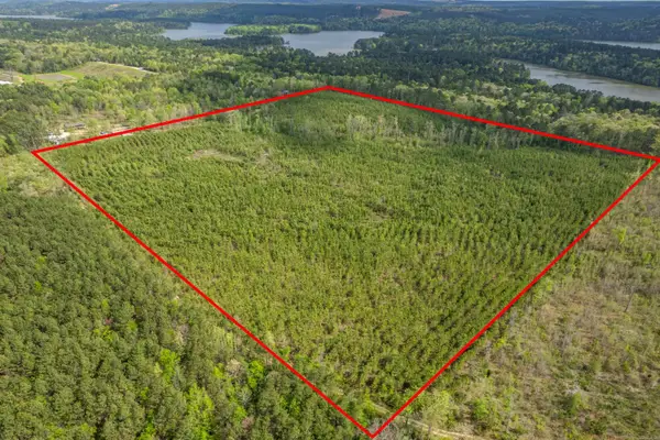 XXX Beech Dr., Bismarck, AR 71921