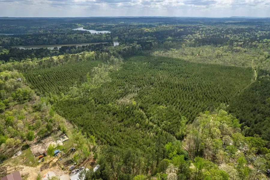 XXX Beech Dr., Valley, AR 71921 - #2