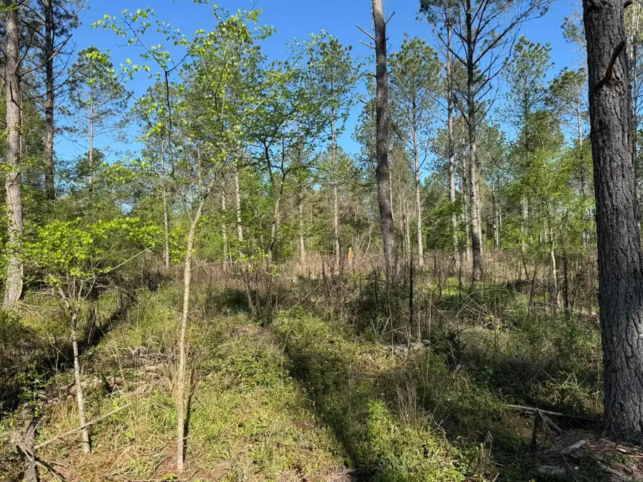 TBD Kadoha Road, Murfreesboro, AR 71958 - #3