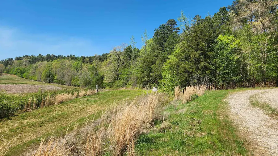 224 (Lot # 16) Reva's Way, Story, AR 71970 - #2