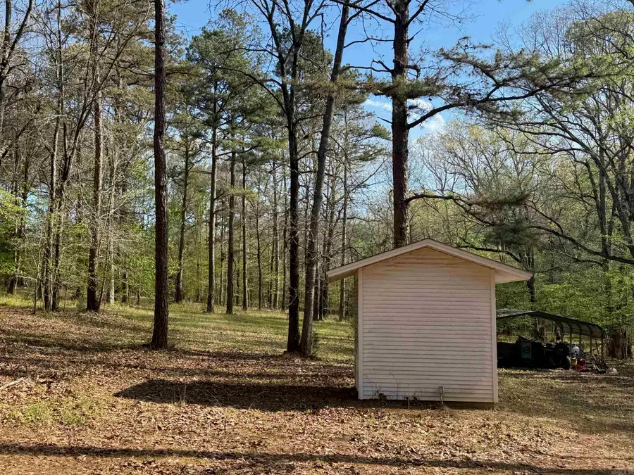 1299 E Hwy 246, Vandervoort, AR 71972 - #2