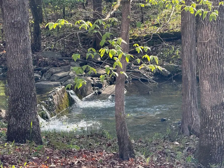 1299 E Hwy 246, Vandervoort, AR 71972 - #3