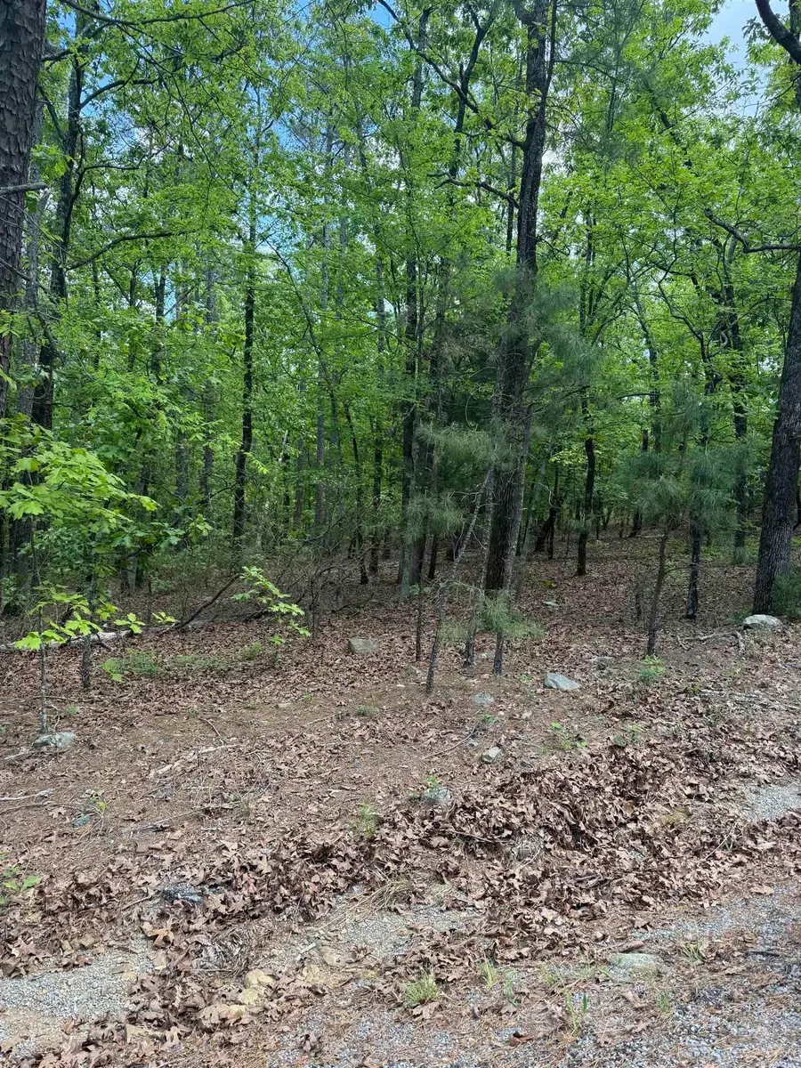 12215 Natural Steps Drive, Roland, AR 72135 - #2