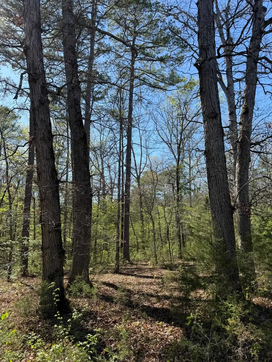 47A County Road 113, Melbourne, AR 72556 - #3