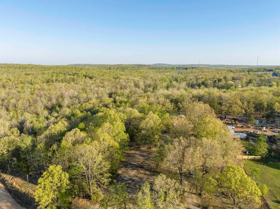 913 Spring River Ranch Road, Williford, AR 72482 - #3