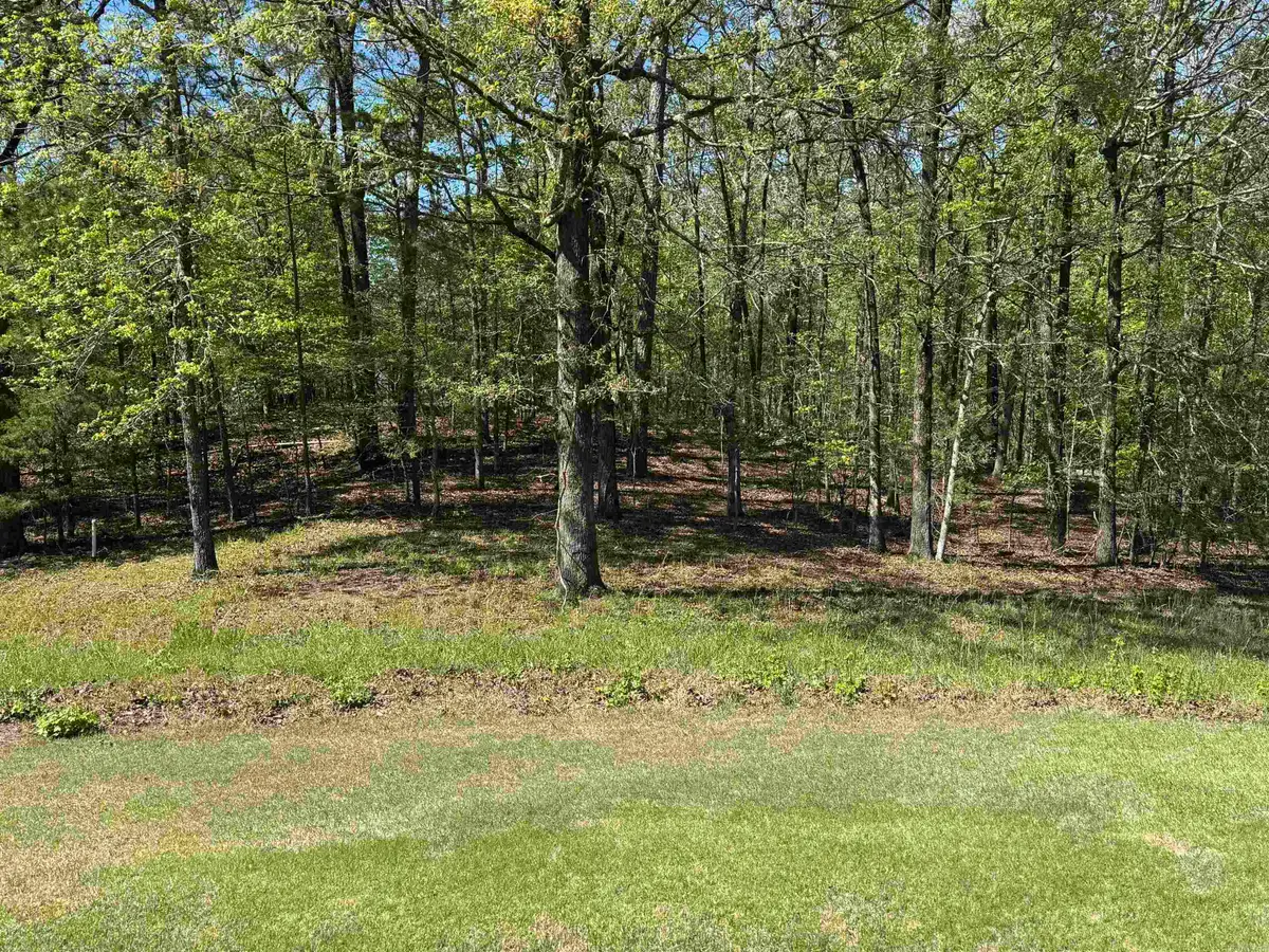 20 Princesa Drive, Hot Springs Village, AR 71909 - #1