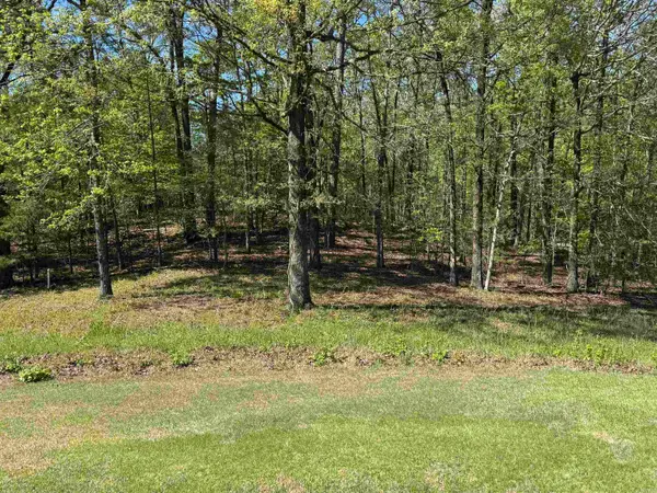 20 Princesa Drive, Hot Springs Village, AR 71909