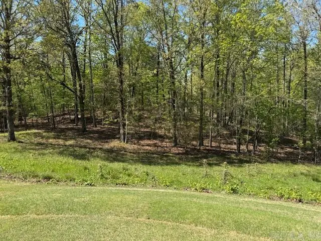 20 Princesa Drive, Hot Springs Village, AR 71909 - #2