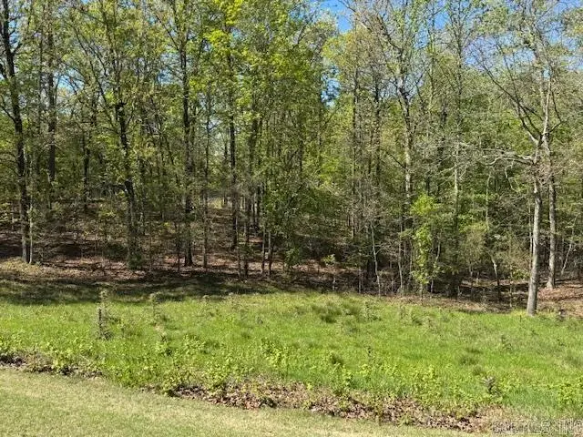 20 Princesa Drive, Hot Springs Village, AR 71909 - #3