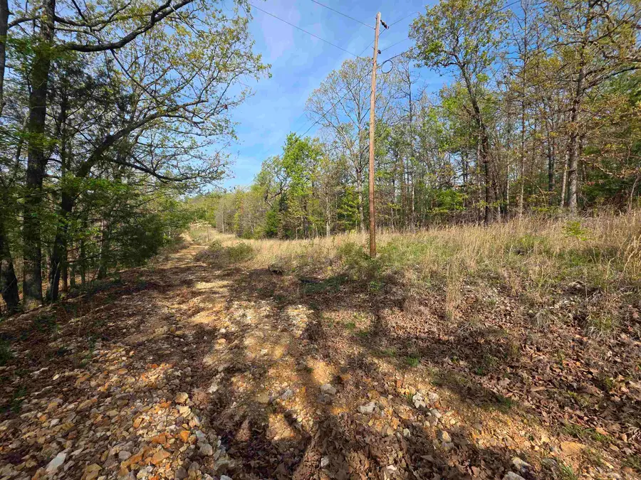 L-10 B-2 Rocky Top Trail, Ozark Acres, AR 72482 - #3