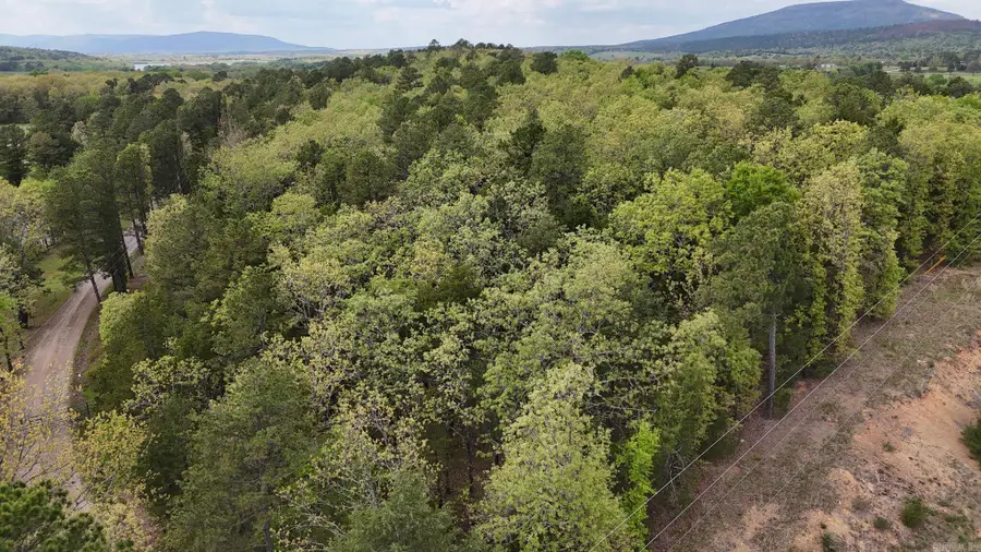 TBD Rebecca's Road, Waldron, AR 72958 - #2