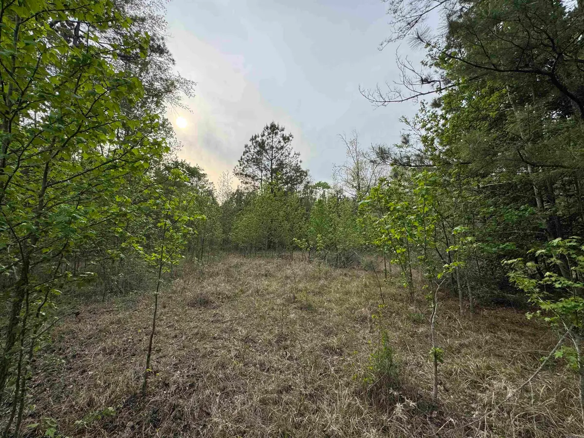 Lot 117 Red Oak, Camden, AR 71701 - #1