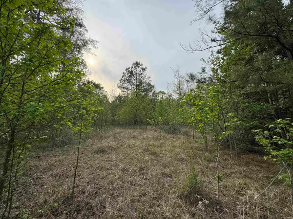 Lot 117 Red Oak, Camden, AR 71701