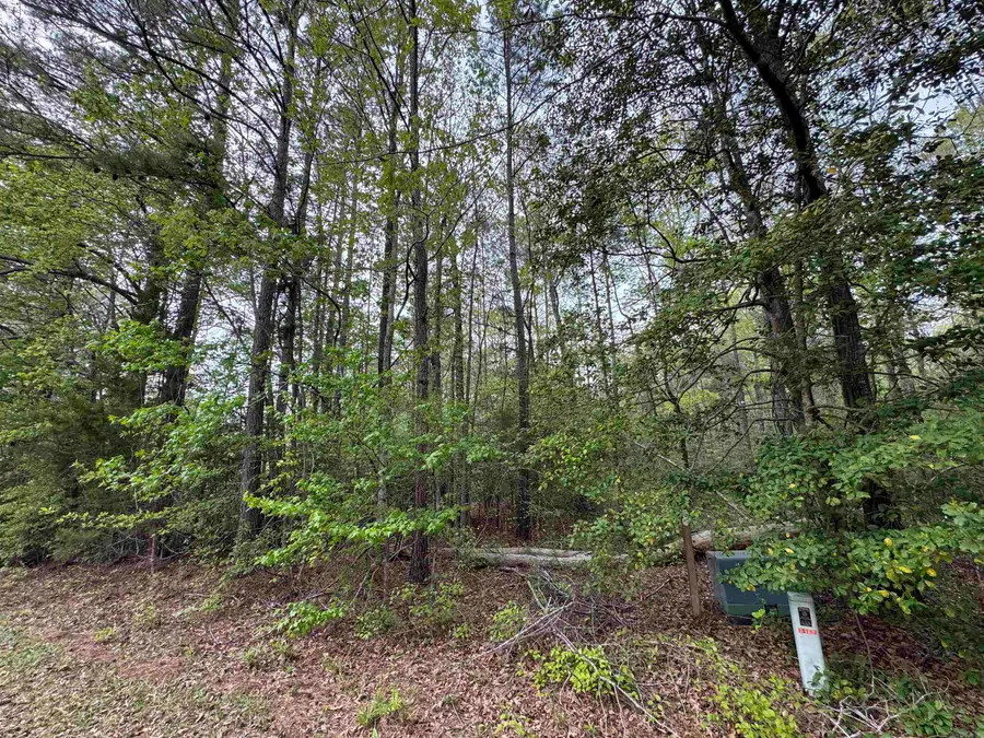Lot 117 Red Oak, Camden, AR 71701 - #2