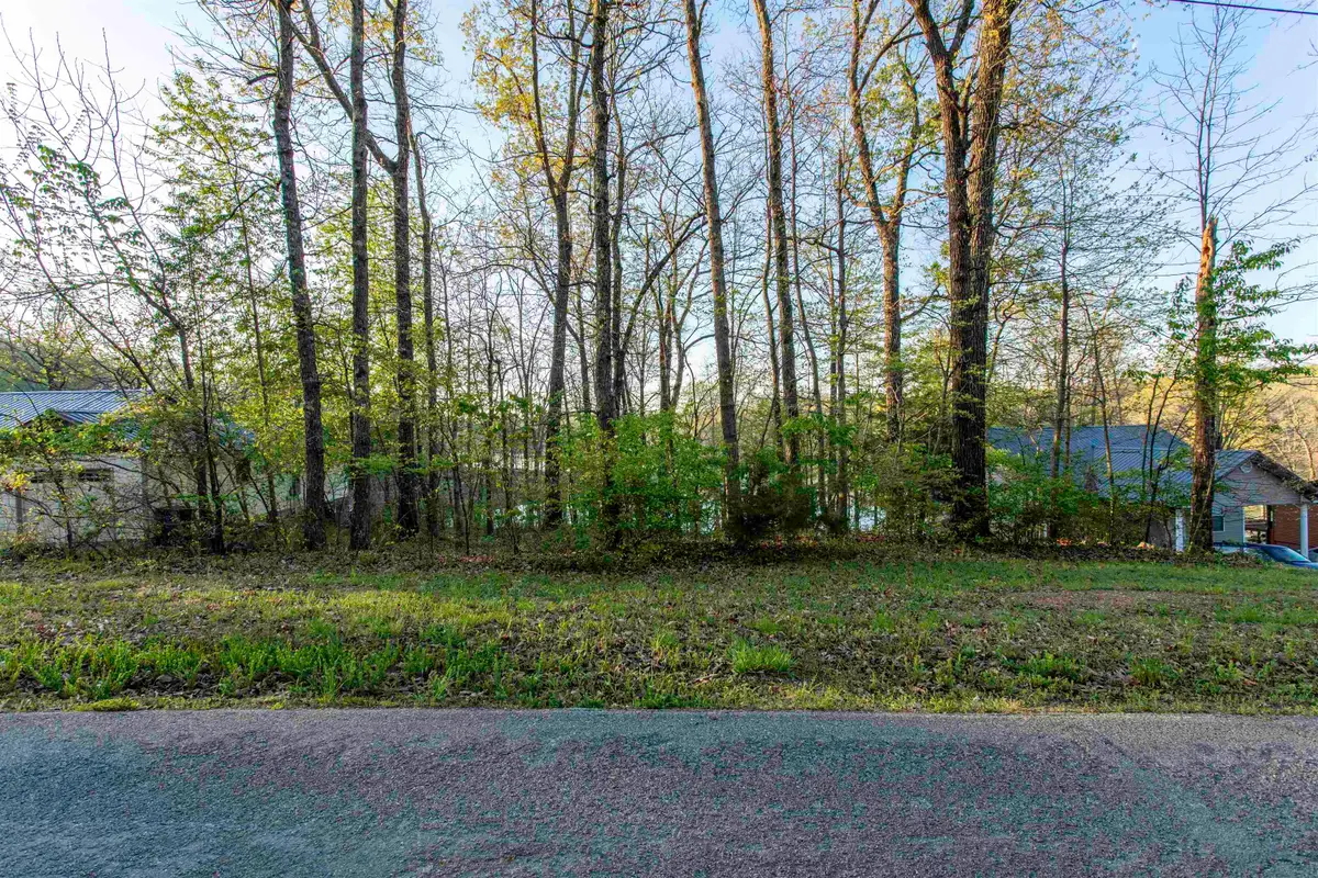 000 Lakeside Drive, Williford, AR 72482 - #1